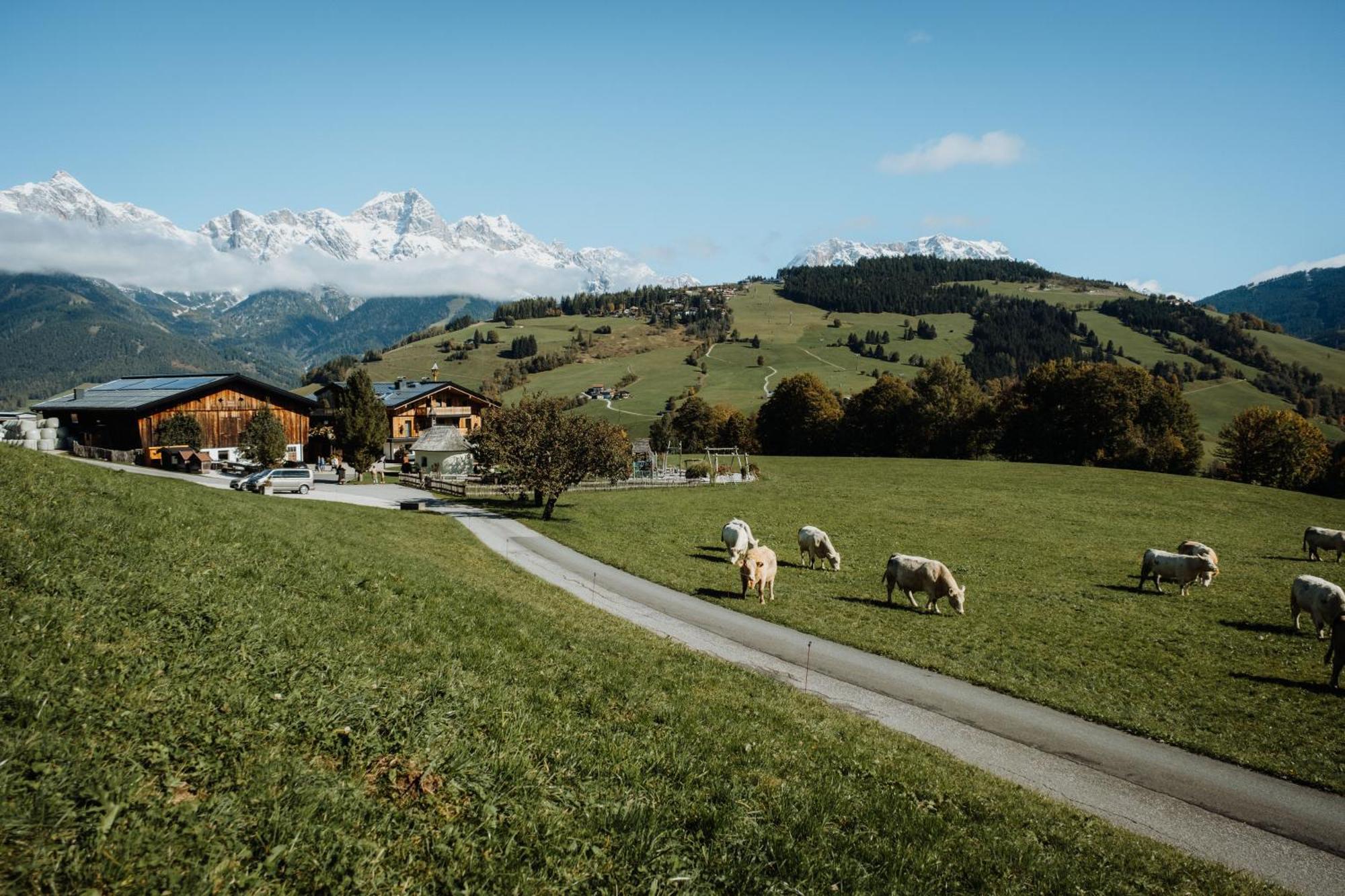 Aparthotel Biohof Ebengut Maria Alm am Steinernen Meer Zewnętrze zdjęcie